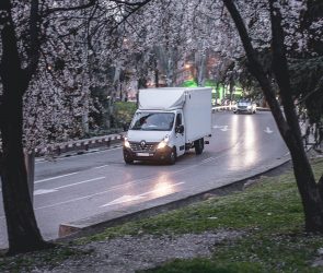 white van on a road